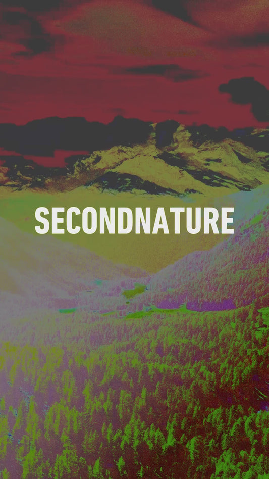 12/20/25 - D.Dan + raj